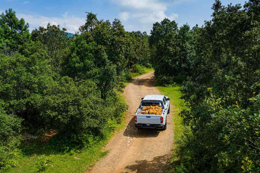 Le SAIC MAXUS Interstellar L 2026 s'impose comme nouveau standard dans les pick-ups de la gamme 100 000 yuans, alliant équipement complet et performances robustes