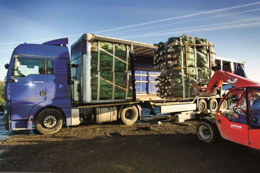 DHL teste en terrain réel le camion lourd électrique Speed Leopard : le Danemark et la Belgique adoptent de nouvelles réglementations pour les camions ! Cette semaine (29 décembre - 4 janvier), les dernières tendances du secteur des camions à l'étranger en vue.
